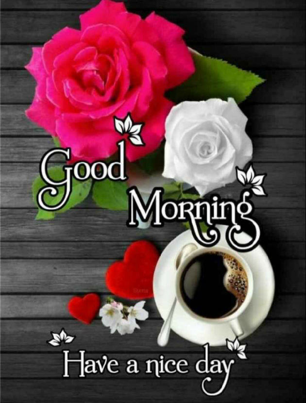 English Good Morning by JahaNwaj Khan : 111753629