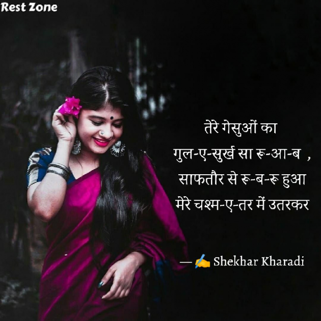Hindi Blog by shekhar kharadi Idriya : 111753911