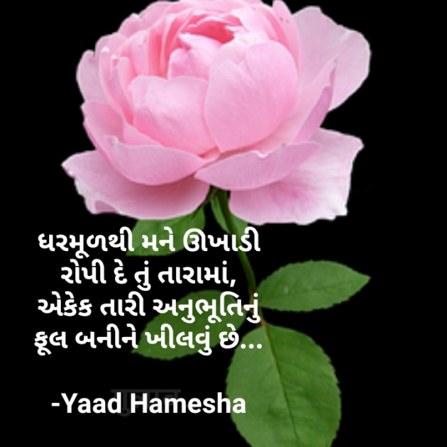 Gujarati Shayri by Anu : 111753938