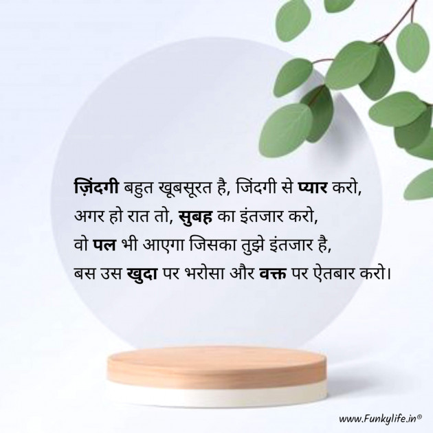 Hindi Motivational by Shamad Ansari : 111754295