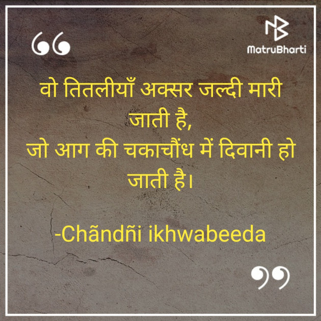 Hindi Shayri by Chãndñi ikhwabeeda : 111754651