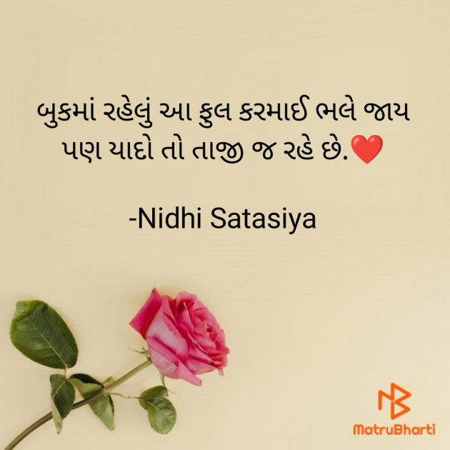 Gujarati Romance by Nidhi Satasiya : 111754890