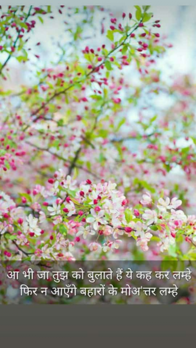Hindi Romance by Kumar Rahman : 111755485