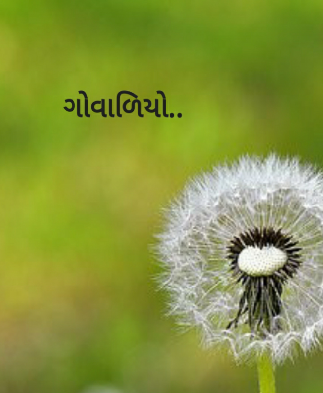 Gujarati Good Night by Yaad Hamesha : 111755631