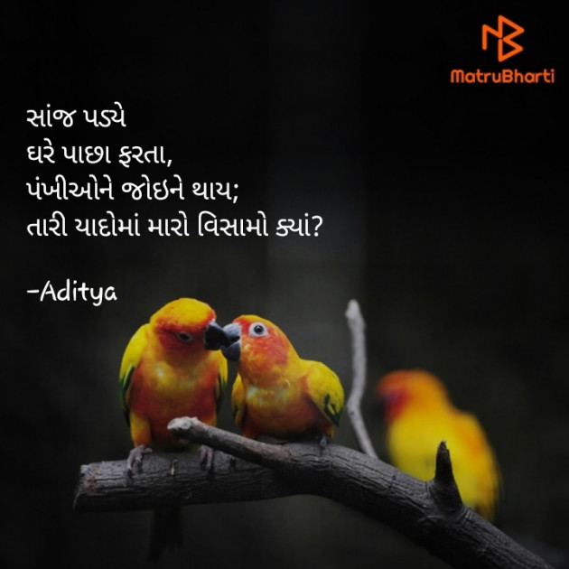 Gujarati Blog by ꪖᦔỉᡶꪗꪖ : 111756342