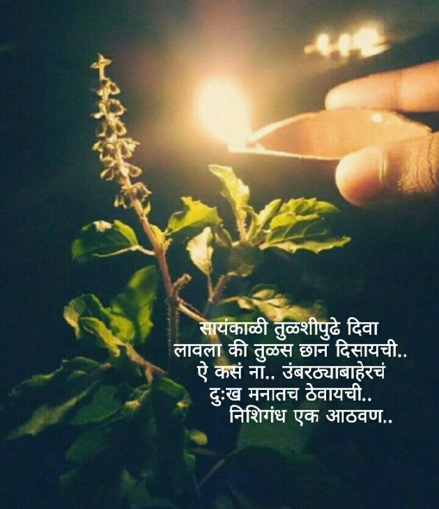 Marathi Poem by Nisha Thore : 111757186