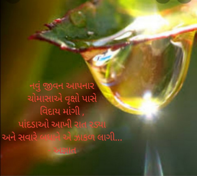 Gujarati Good Morning by Pihu Boricha : 111757864