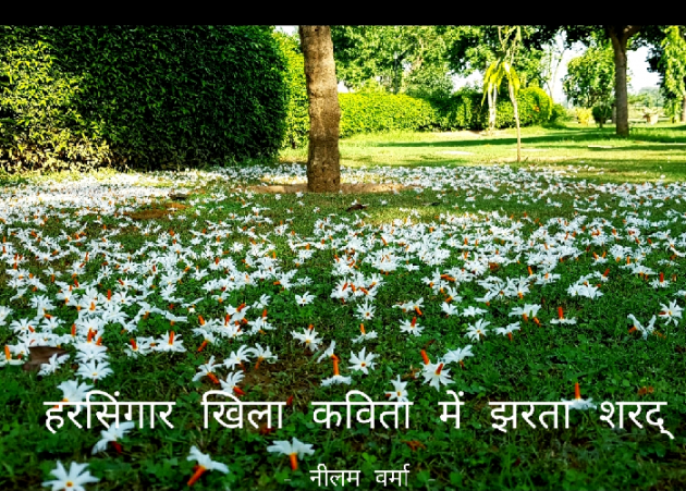 Hindi Poem by Neelam Verma : 111758036