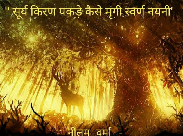 Hindi Poem by Neelam Verma : 111758327