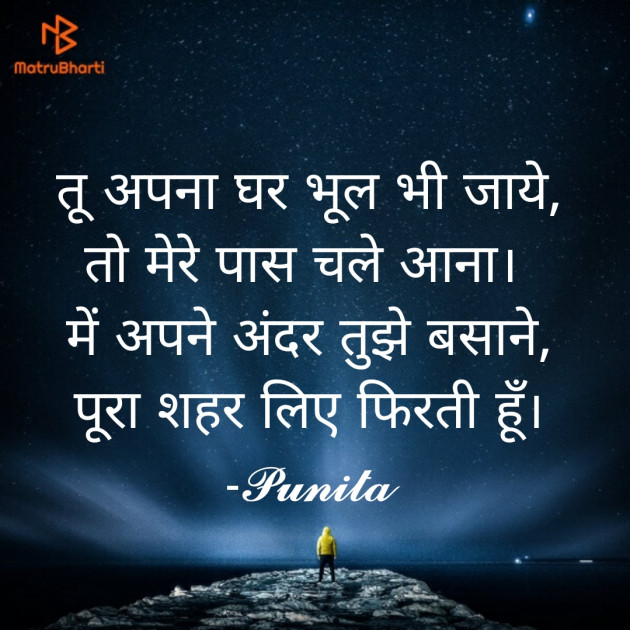 Hindi Shayri by Punita : 111758687