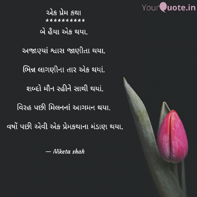 Gujarati Romance by NIKETA SHAH : 111758880