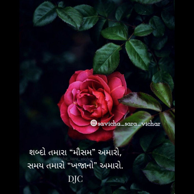 Gujarati Shayri by DJC : 111759301