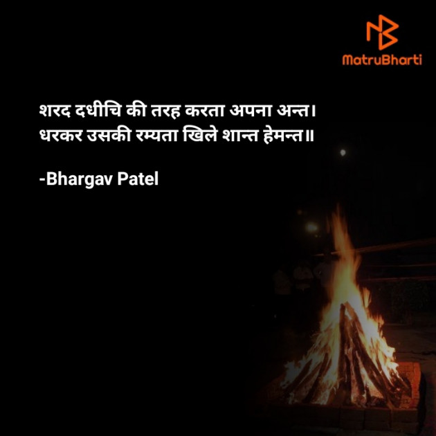 Hindi Poem by Bhargav Patel : 111759506