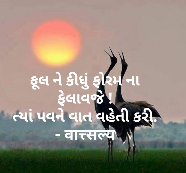 Gujarati Shayri by वात्सल्य : 111760087