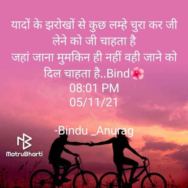 Hindi Blog by Bindu : 111761913