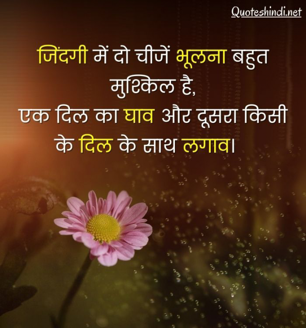 Hindi Whatsapp-Status by Shamad Ansari : 111762162