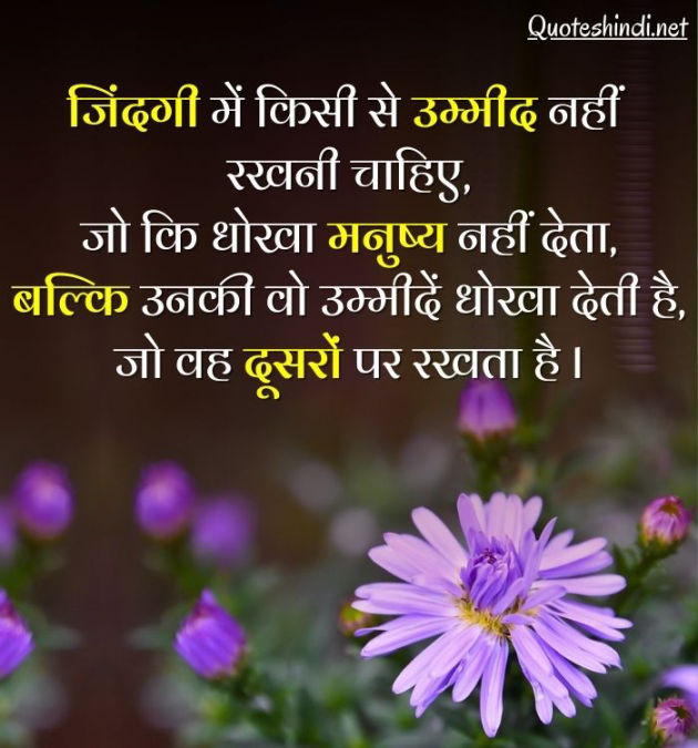 Hindi Whatsapp-Status by Shamad Ansari : 111762170