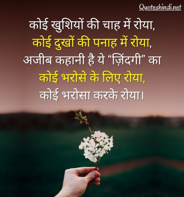 Hindi Whatsapp-Status by Shamad Ansari : 111762267