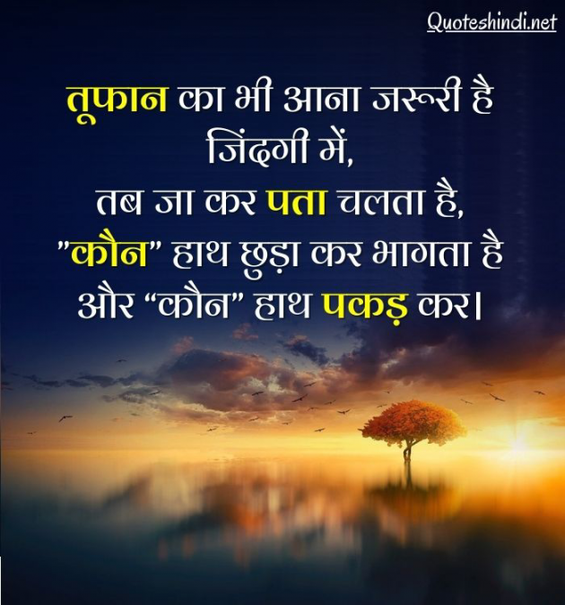 Hindi Whatsapp-Status by Shamad Ansari : 111762270