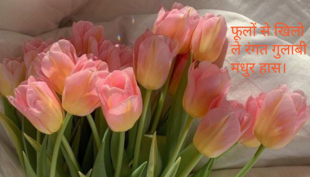 English Poem by Pramila Kaushik : 111762507