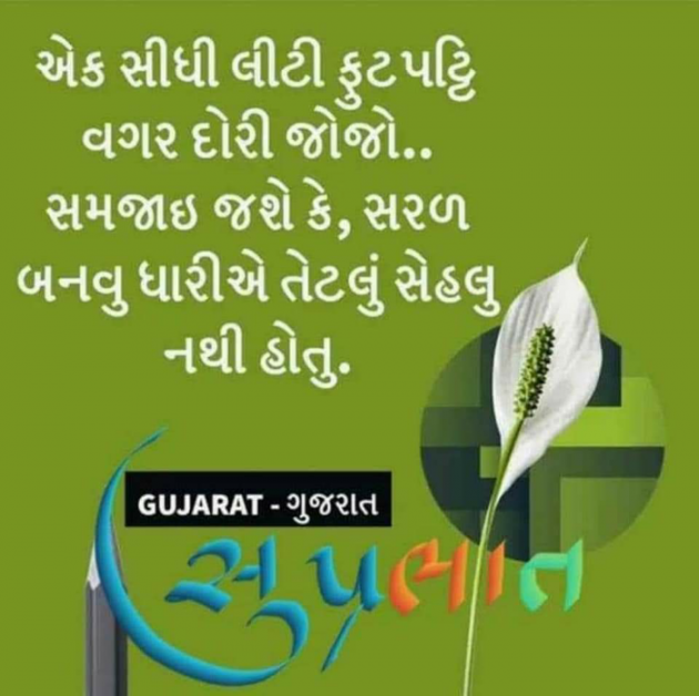 Gujarati Quotes by Vira : 111762722