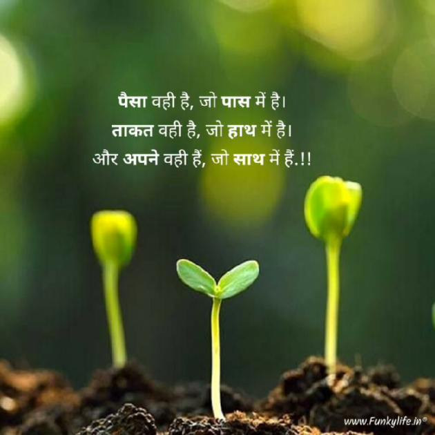 Hindi Whatsapp-Status by Shamad Ansari : 111762908