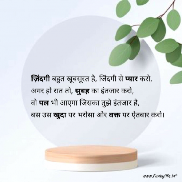 Hindi Whatsapp-Status by Shamad Ansari : 111762911