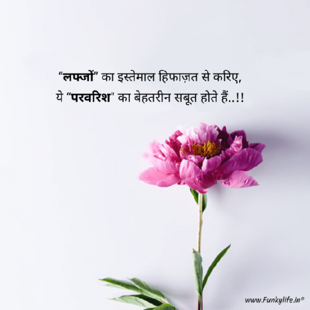 Hindi Whatsapp-Status by Shamad Ansari : 111762912