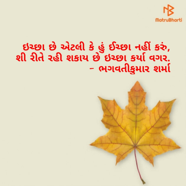 Gujarati Thought by Kinar Rana : 111763033