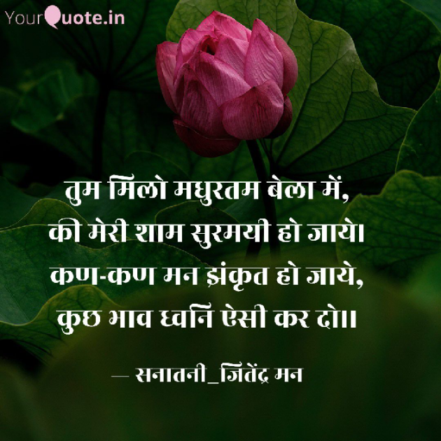 Hindi Song by सनातनी_जितेंद्र मन : 111763197