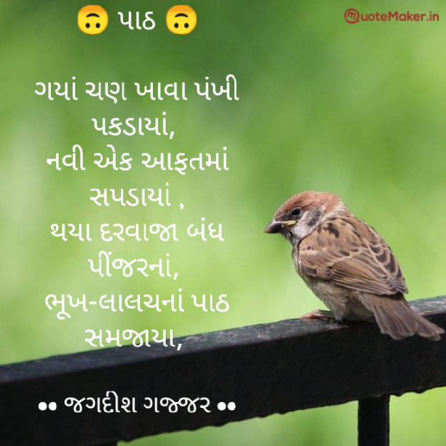 Gujarati Shayri by Jagadish K Gajjar Keshavlal BHAGAT : 111763487