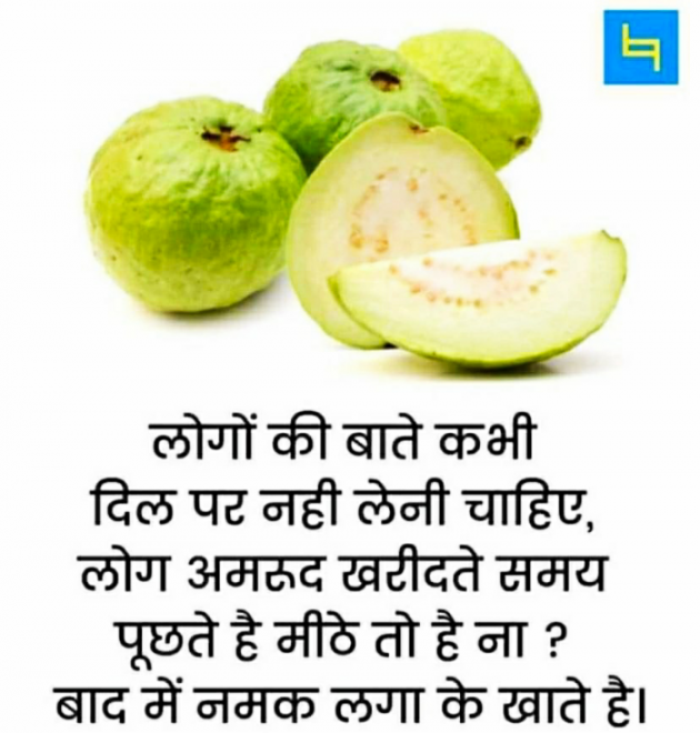 Gujarati Thought by Anurag Basu : 111763492