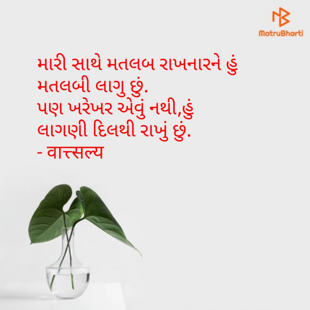 Gujarati Shayri by वात्सल्य : 111764149