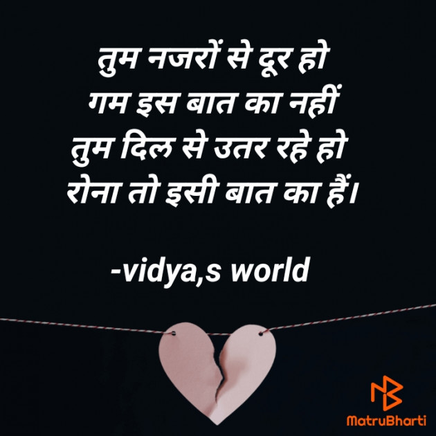 Hindi Romance by vidya,s world : 111764193
