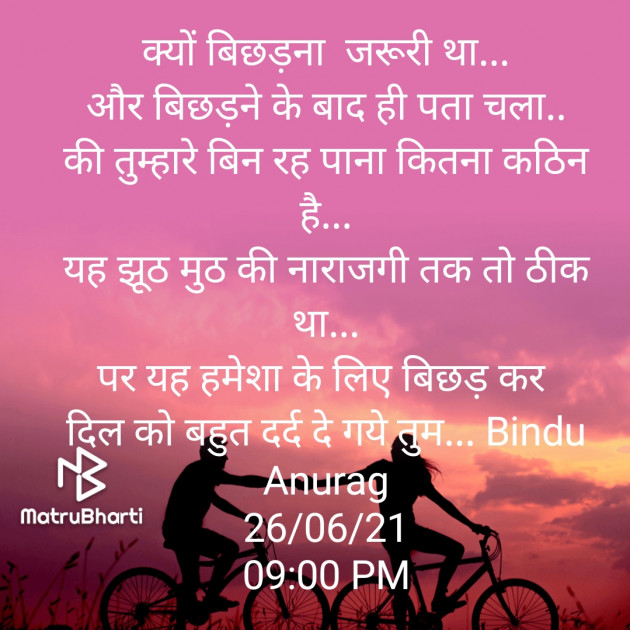 Hindi Blog by Bindu _Maiyad : 111764648