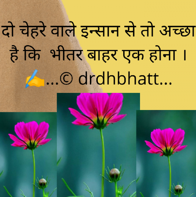 Hindi Blog by Dr. Damyanti H. Bhatt : 111764821