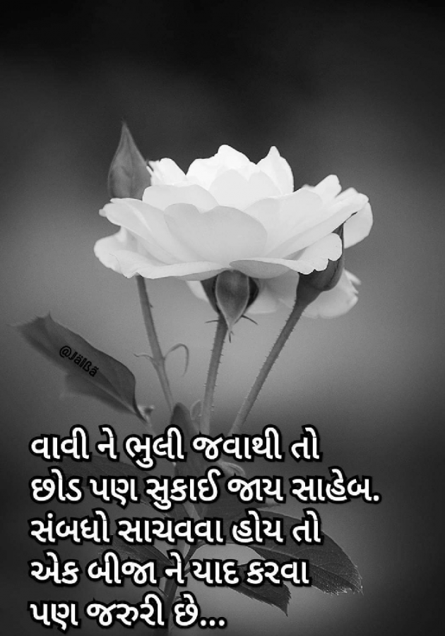 Gujarati Romance by Lalit Parmar lalitparmar : 111765019