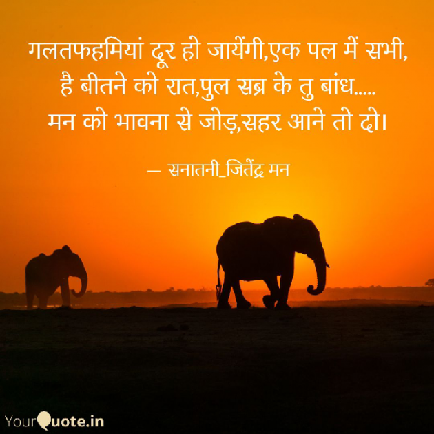 Hindi Shayri by सनातनी_जितेंद्र मन : 111765030