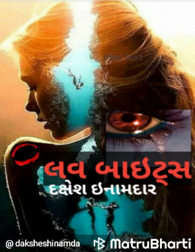 Gujarati Blog by Dakshesh Inamdar : 111765149
