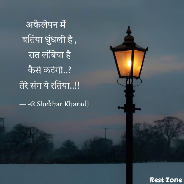 Hindi Blog by shekhar kharadi Idriya : 111765286