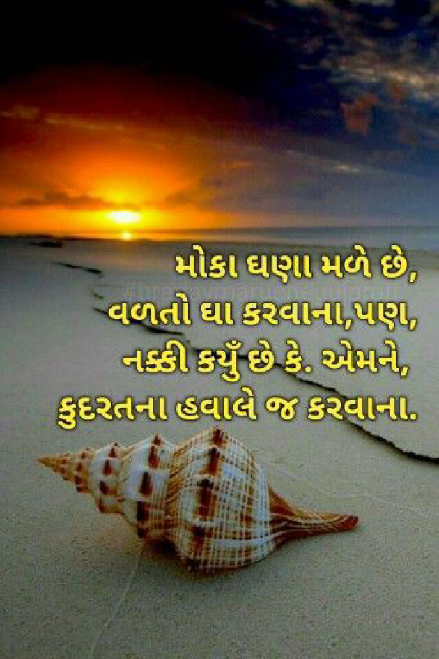 English Thought by Zain Shaikh : 111765311