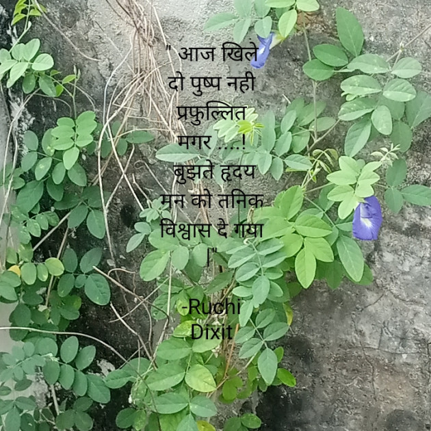 Hindi Poem by Ruchi Dixit : 111765402