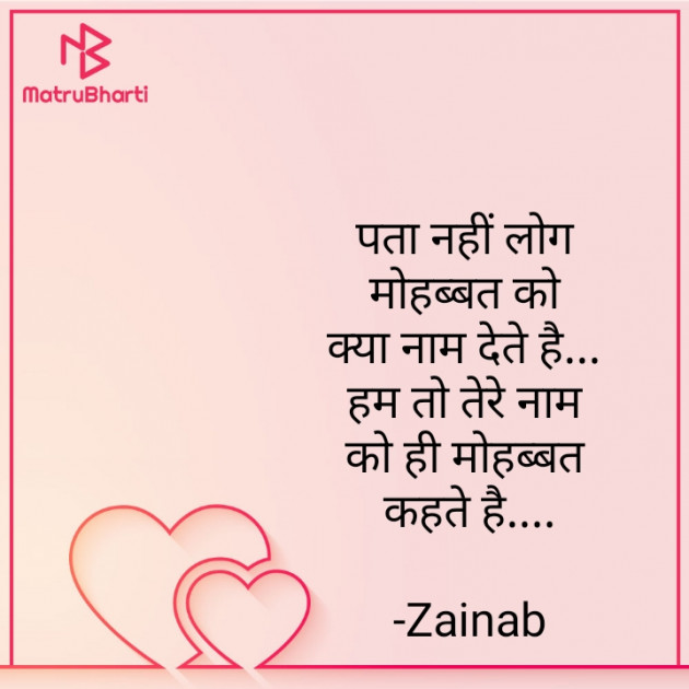 Hindi Blog by Zainab Makda : 111765584