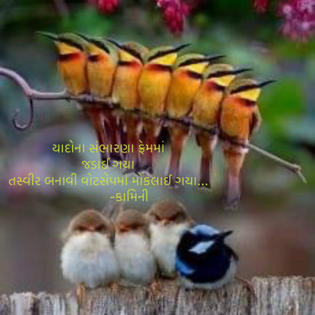Gujarati Poem by Kamini Shah : 111766024