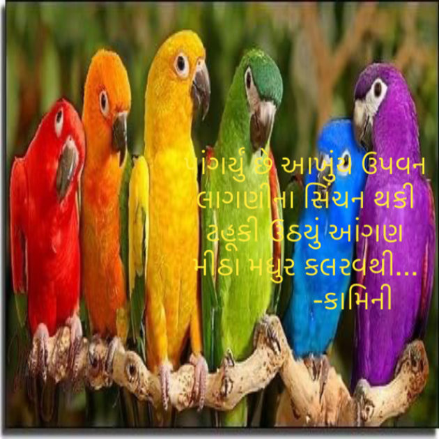 Gujarati Poem by Kamini Shah : 111766412