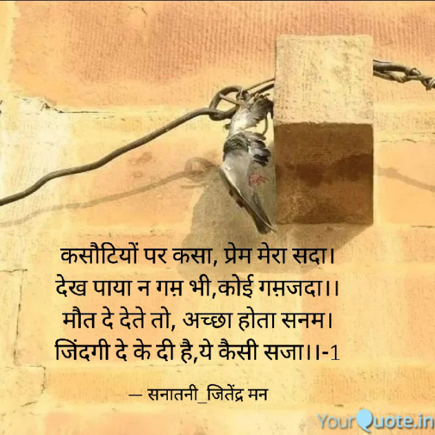 Hindi Shayri by सनातनी_जितेंद्र मन : 111767156