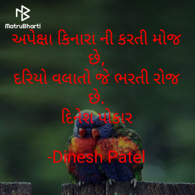 Gujarati Shayri by Dinesh Patel : 111768141