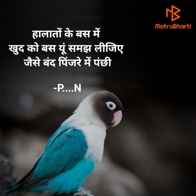 Hindi Shayri by P....N : 111768767