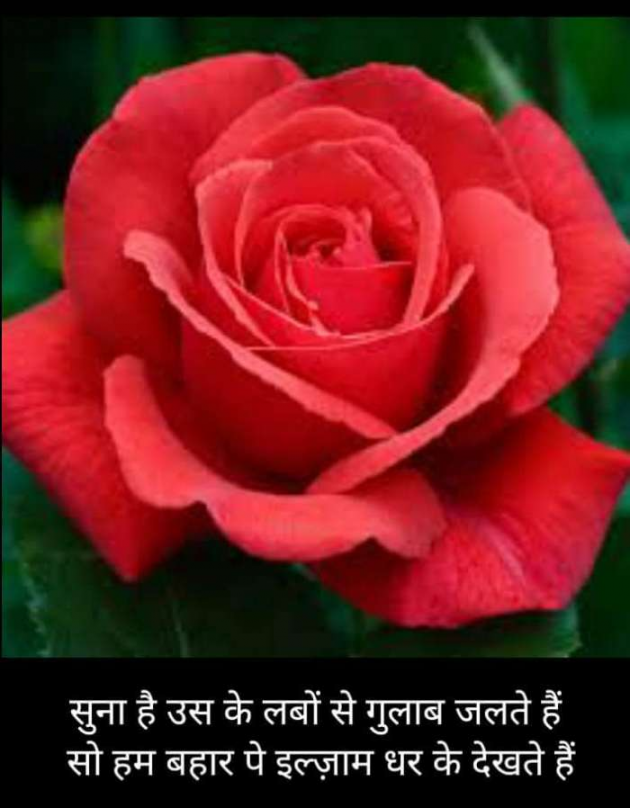 Hindi Romance by Kumar Rahman : 111768775