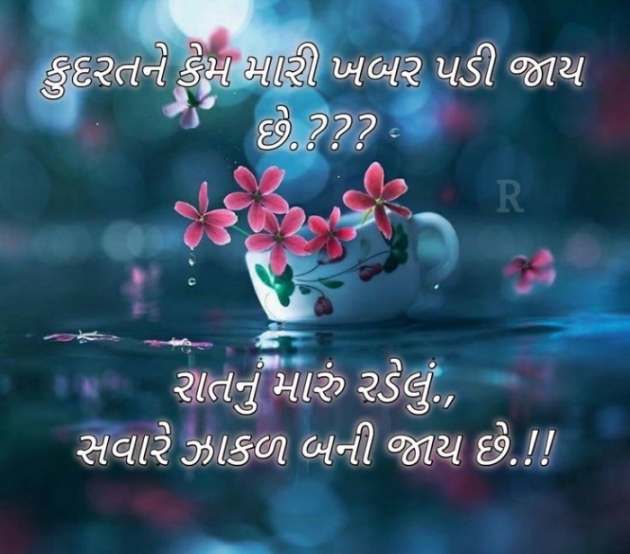 Gujarati Shayri by Balkrishna patel : 111769324